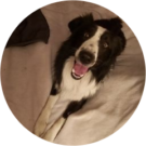 Jack Lowe Avatar